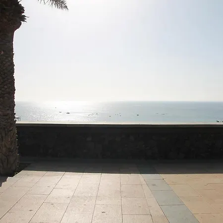 Aida San Bartolomé